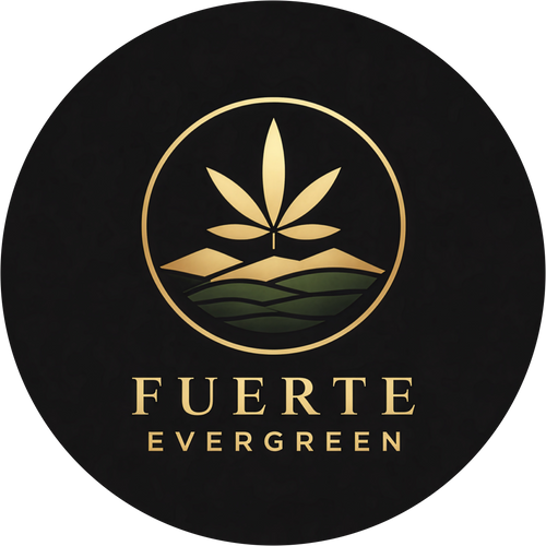FUERTE EVERGREEN